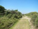 IMG_1812_0184