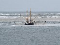 IMG_1868_0151