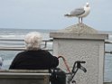IMG_1870_0153