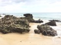 IMG_0482
