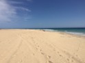 IMG_0499