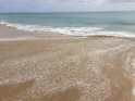 IMG_0509