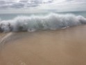 IMG_0514