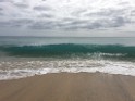 IMG_0517