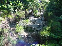 Image DSC01262