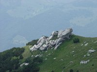 Image DSC01298