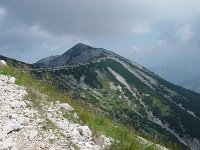 Image DSC01303