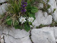Image DSC01309