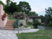 Image DSC01324