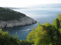 IMG 0556