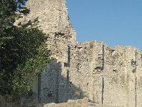 IMG 0589