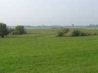 DSC01513