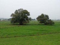DSC01517