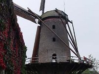 DSC01567