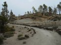 IMG_1501