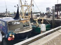 Fischkutter im Hafen