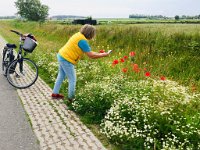 auf Blumensafari