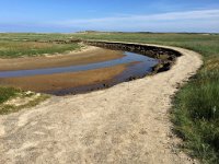 Das Meerwasser hat mit Ebbe und Flut eine ...