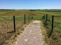 Ein kleiner Abstecher führt wieder in die Slufter-Dünen.